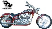 2008 Titan Gecko Rubber Mount Stretch photo